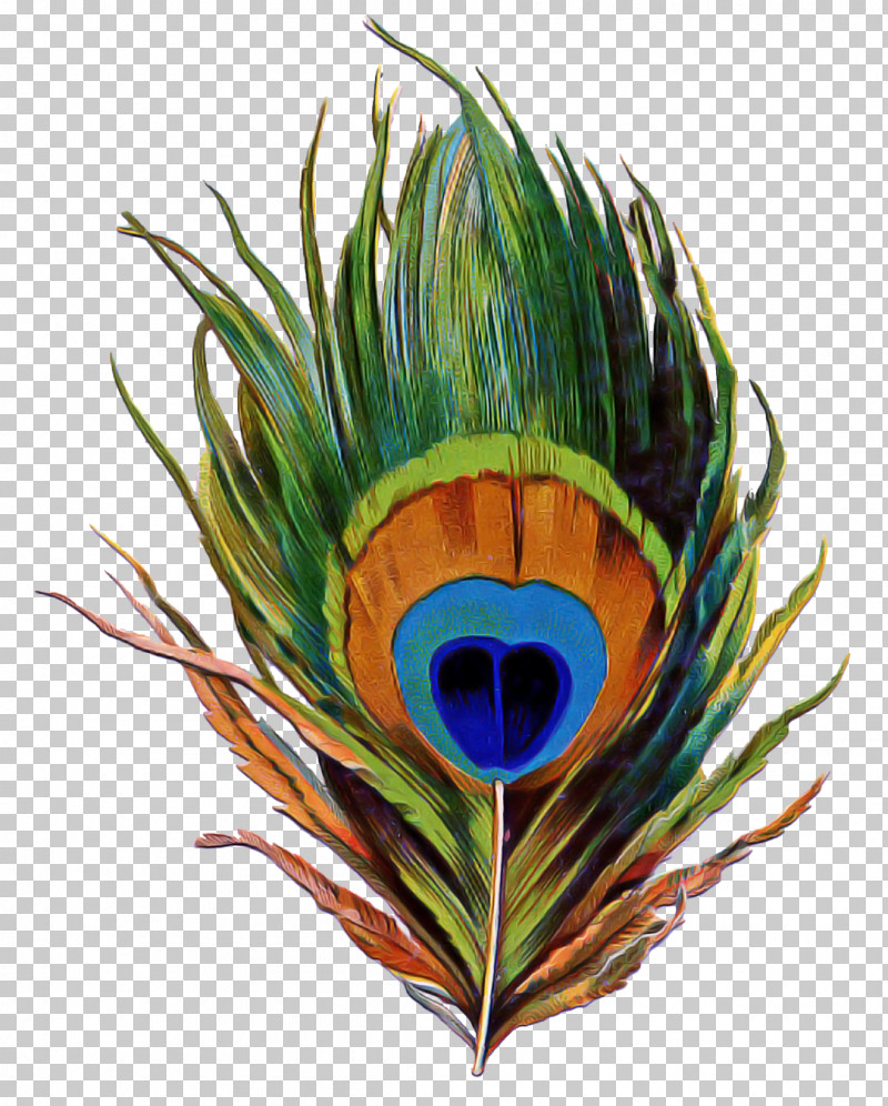Bird Of Paradise PNG, Clipart, Bird Of Paradise, Feather, Natural Material, Plant Free PNG Download