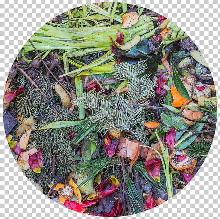Easy Composting Food Waste Recycling PNG, Clipart, Biodegradable Waste, Christmas Ornament, Compost, Composting, Easy Free PNG Download