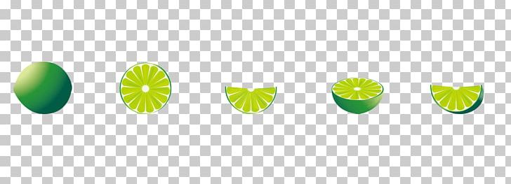 Lemon Grapefruit Kaffir Lime Citron PNG, Clipart, Citrus, Computer Icons, Free Logo Design Template, Free Vector, Fruit Free PNG Download