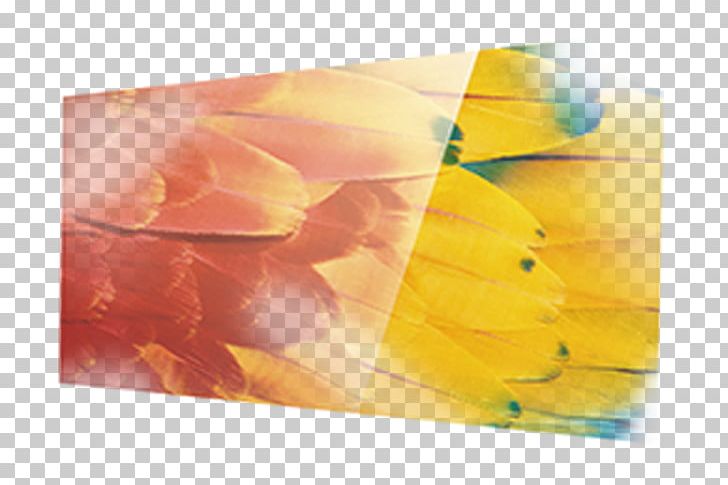 Material Yellow Petal PNG, Clipart, Banana, Banana Chips, Banana Leaf, Banana Leaves, Banana Milk Free PNG Download