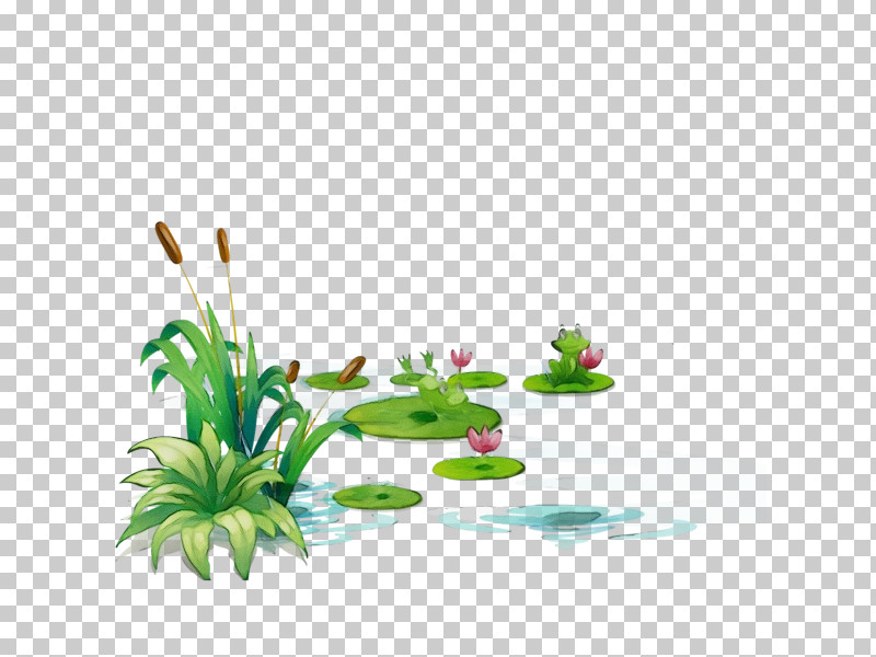 Green Aquarium Decor Grass Plant Flower PNG, Clipart, Aquarium Decor, Flower, Grass, Green, Houseplant Free PNG Download