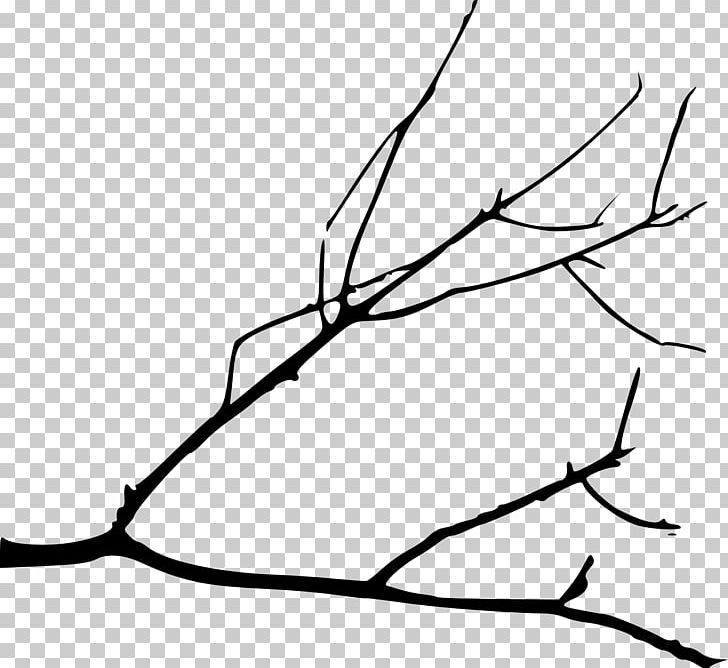 Branch Tree Silhouette Drawing PNG, Clipart, Area, Artwork, Black, Black And White, Branch Free PNG Download