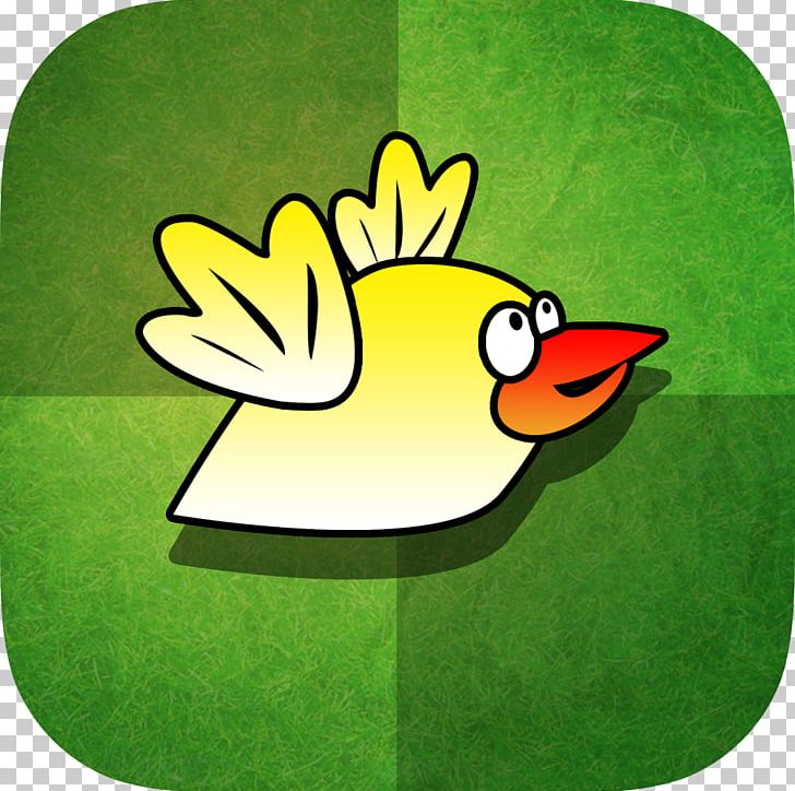 Duck Green Beak Chicken Meat PNG, Clipart, Animals, Apk, Beak, Bird, Chicken Free PNG Download