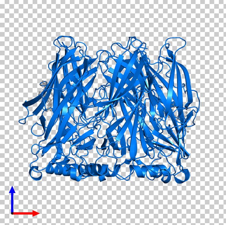Line Point Organism PNG, Clipart, Area, Art, Blue, Caption, Ebi Free PNG Download