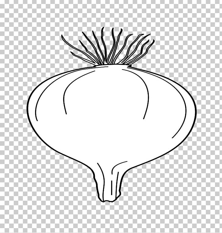 Onion Drawing PNG, Clipart, Artwork, Black And White, Circle, Drawing, Face Free PNG Download