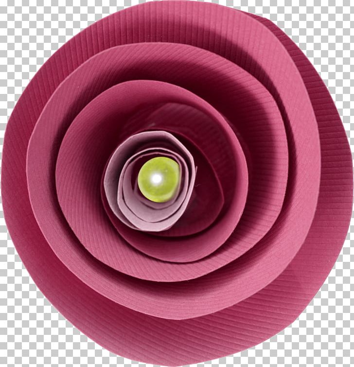 Circle Spiral PNG, Clipart, Circle, Education Science, Flower, Magenta, Paper Free PNG Download