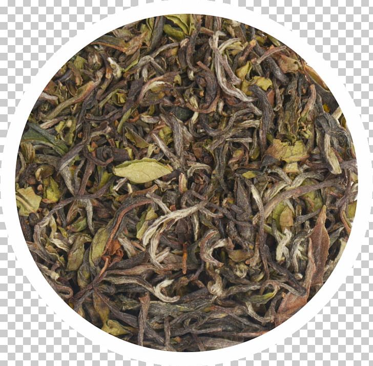 Green Tea Dianhong Oolong Assam Tea PNG, Clipart,  Free PNG Download