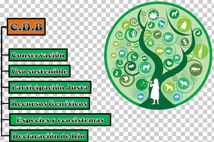 International Day For Biological Diversity International Year Of Biodiversity 22 May Conservation PNG, Clipart, 22 May, Biodiversity, Biology, Brand, Circle Free PNG Download