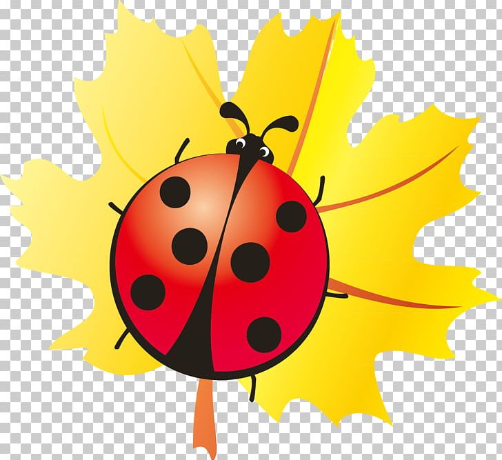 Ladybird Beetle PNG, Clipart, Arthropod, Beetle, Computer Wallpaper, Design Element, Elements Vector Free PNG Download