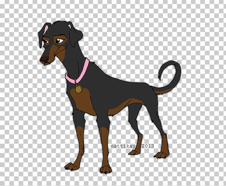 Miniature Pinscher Manchester Terrier Dog Breed German Pinscher PNG, Clipart, Breed, Carnivoran, Cartoon, Dog, Dog Breed Free PNG Download