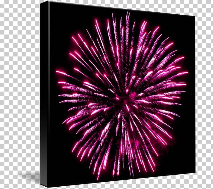 Fireworks Party PNG, Clipart, Event, Fete, Fireworks, Holidays, Magenta Free PNG Download