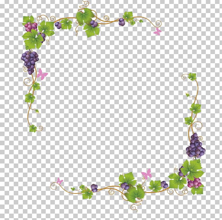 Grape Auglis Vine PNG, Clipart, Border, Branch, Butterfly, Colour, Drawn Free PNG Download