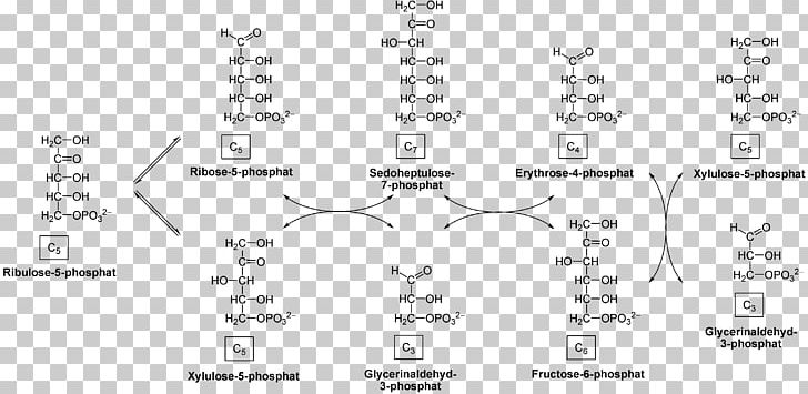 Hexose Pentose Phosphate Pathway Ribulose Monosaccharide PNG, Clipart, Angle, Miscellaneous, Monochrome, Number, Others Free PNG Download