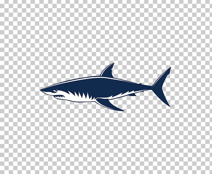 Requiem Sharks Great White Shark Shark Jaws PNG, Clipart, Carcharodon, Cartilaginous Fish, Depositphotos, Electric Blue, Fin Free PNG Download