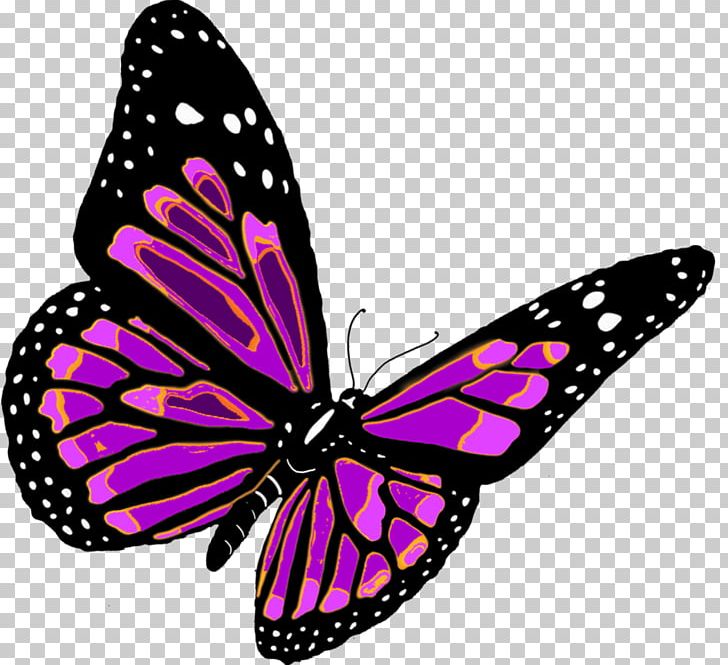Butterfly PNG, Clipart, Arthropod, Backpacking, Believe, Brush Footed Butterfly, Catapillar Free PNG Download