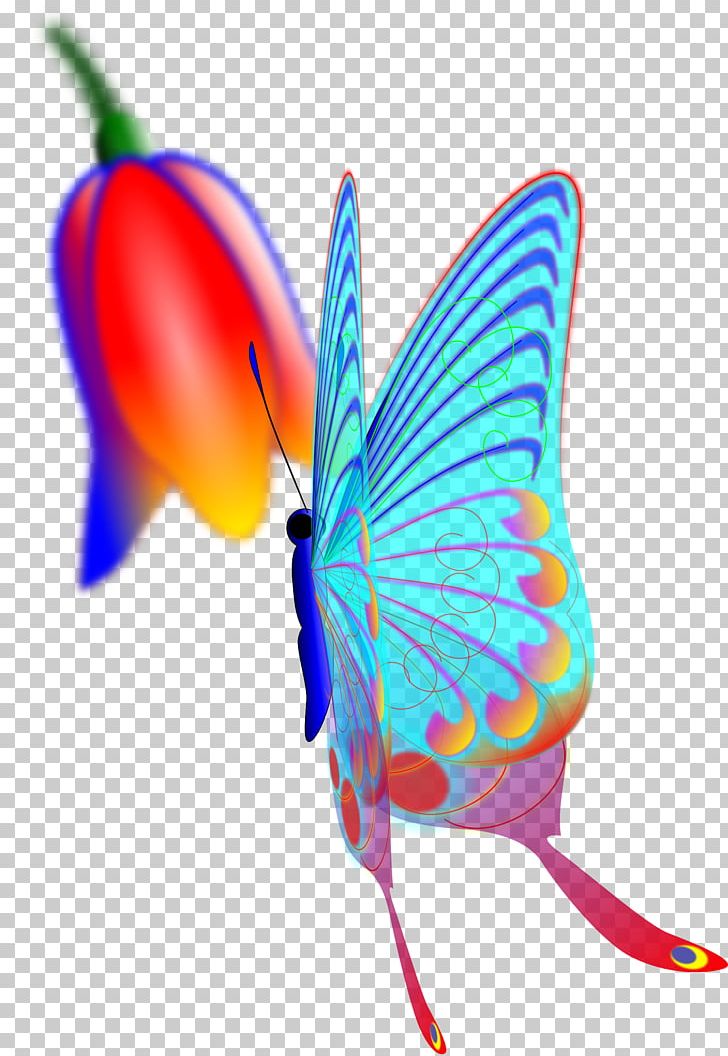Butterfly Wing PNG, Clipart, Butterflies And Moths, Butterfly, Byte, Clear, Fish Free PNG Download