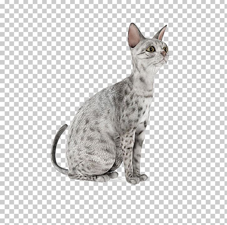 Cat 3D Modeling Autodesk 3ds Max 3D Computer Graphics Wavefront .obj File PNG, Clipart, 3d Computer Graphics, Animal, Animals, Black White, Carnivoran Free PNG Download