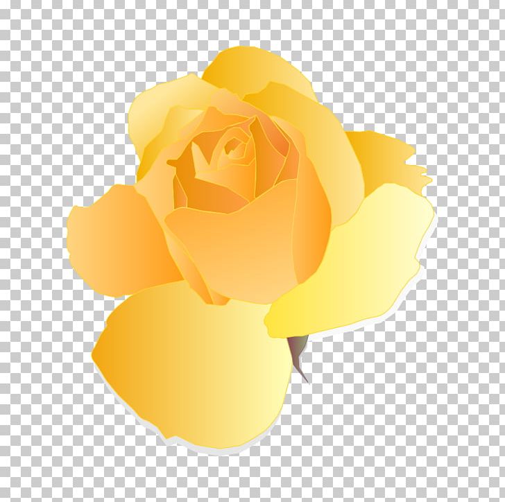 Rose Yellow Computer Icons PNG, Clipart, Color, Computer Icons, Computer Wallpaper, Cut Flowers, Desktop Wallpaper Free PNG Download