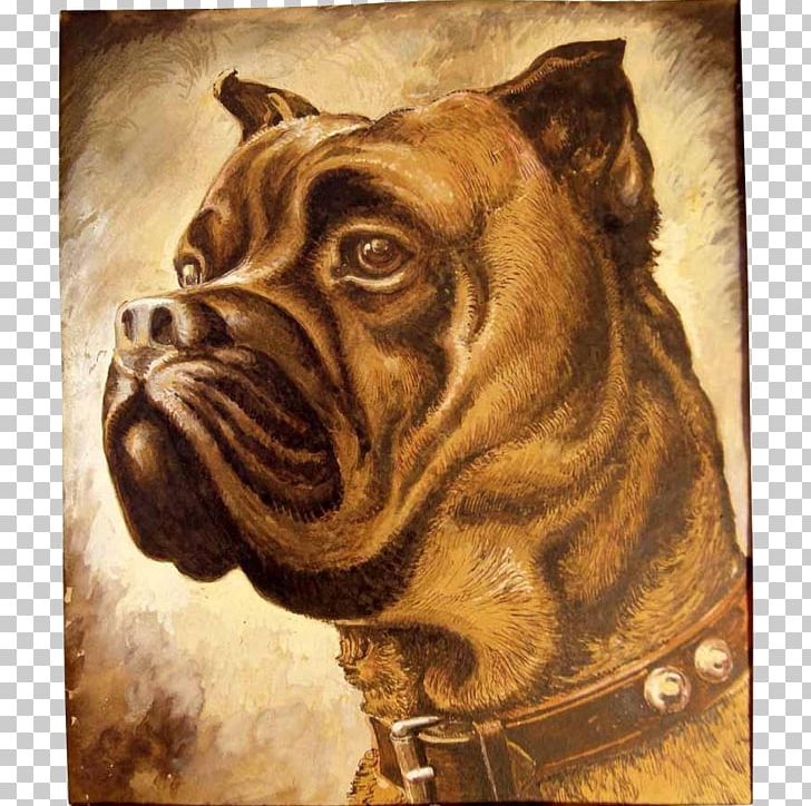Dog Breed Bullmastiff Bulldog Snout PNG, Clipart, Breed, Bulldog, Bullmastiff, Carnivoran, Dog Free PNG Download