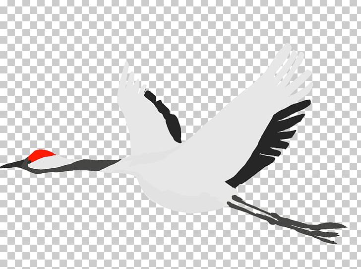 Crane White Stork Bird TSURU PNG, Clipart, Animal, Beak, Bird, Black And White, Book Illustration Free PNG Download