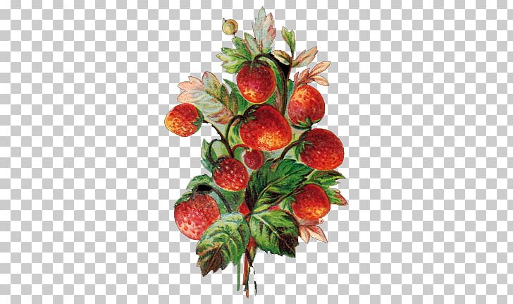 Strawberry Fruit Vegetable Blueberry PNG, Clipart, Berry, Blackberry, Blueberry, Cherry, Decoupage Free PNG Download
