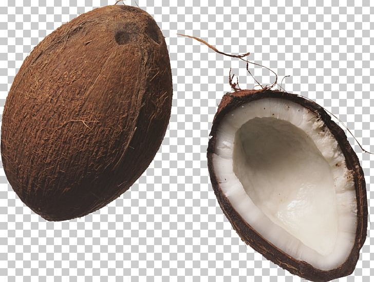 Coconut Milk Juice Nucule PNG, Clipart, Animation, Coco, Coconut, Coconut Milk, Coconut Oil Free PNG Download