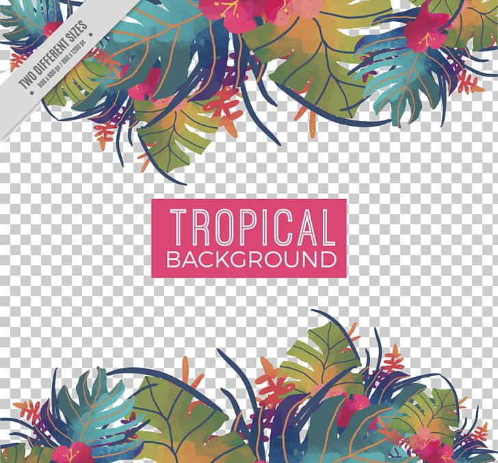 Watercolor Painting Tropics Leaf PNG, Clipart, Art, Border, Border Frame, Certificate Border, Color Free PNG Download