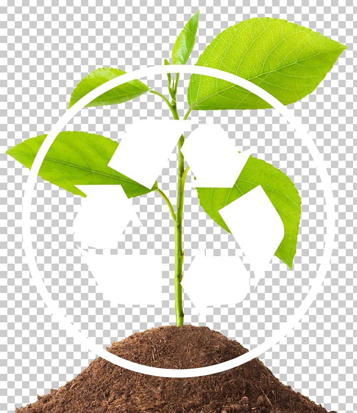 Medical Waste Waste Management Tree Soil PNG, Clipart, Disposal, Flowerpot, Medical, Medical Waste, Medicine Free PNG Download
