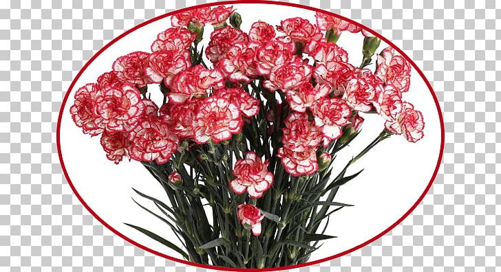 Dom Tsvetochnoy Mody Flower Bouquet Floral Design Garden Roses PNG, Clipart, Artikel, Carnation, Cut Flowers, Flower, Flower Arranging Free PNG Download