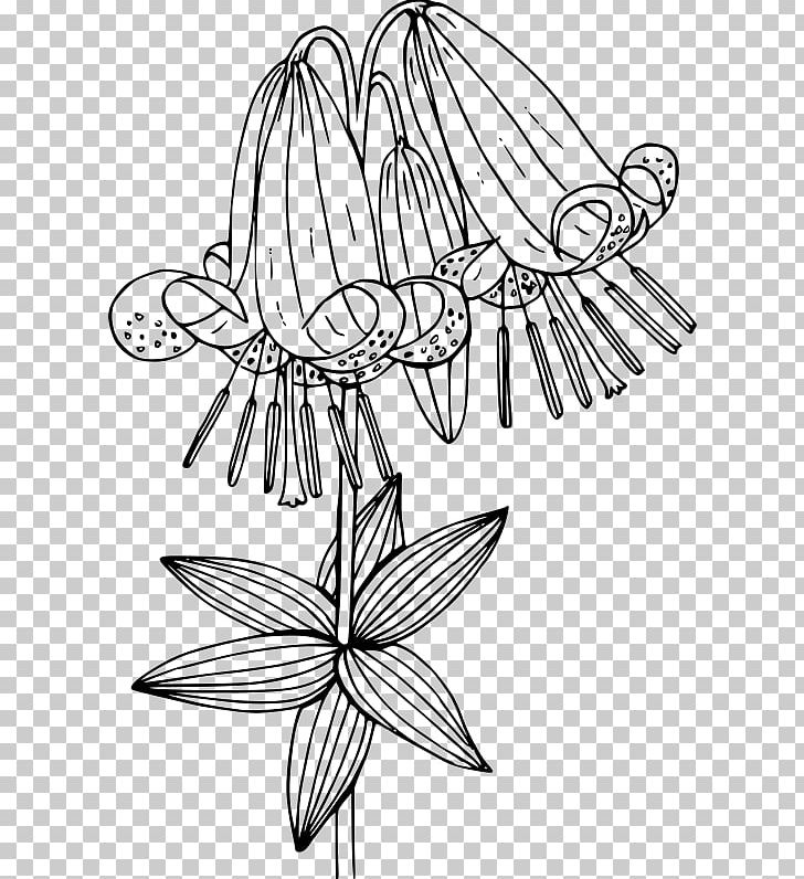 Drawing /m/02csf Line Art Petal PNG, Clipart, Artwork, Black And White, Branch, Coil Binding, Coloring Book Free PNG Download