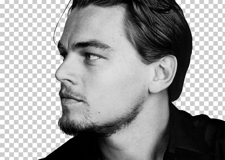 Leonardo DiCaprio Django Unchained Actor Film Producer Film Director PNG, Clipart, Beard, Black And White, Celebrities, Celebrity, Cheek Free PNG Download