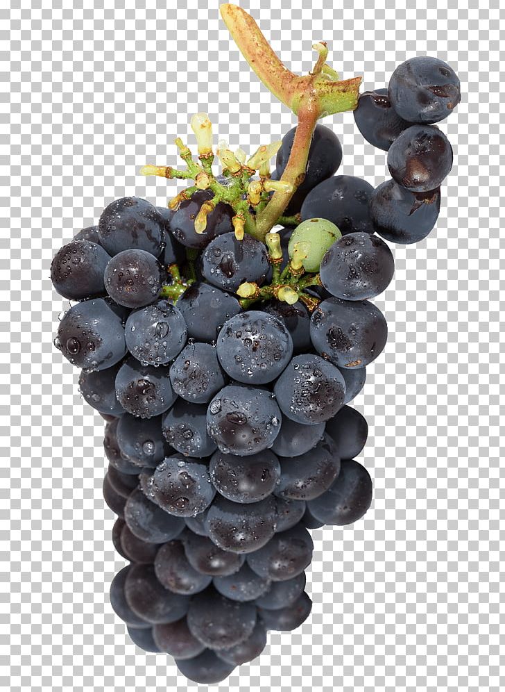 Sultana Wine Grape Gamaret Türtapete PNG, Clipart,  Free PNG Download