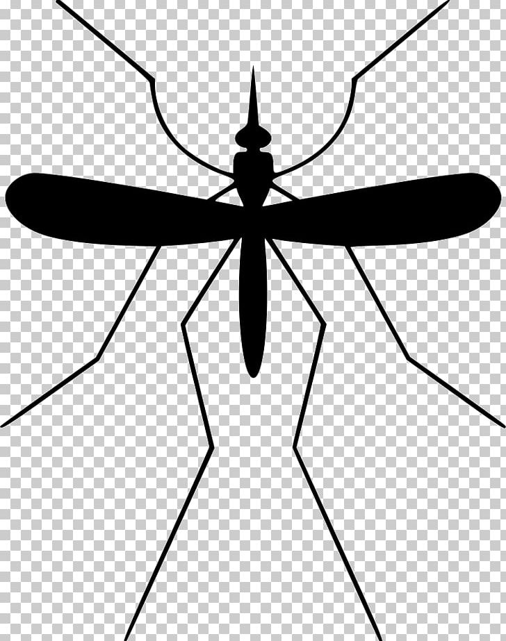 Mosquito Insect Misitio El Mosco Pest Control PNG, Clipart, Aerial Photography, Arthropod, Artwork, Black And White, Cockroach Free PNG Download