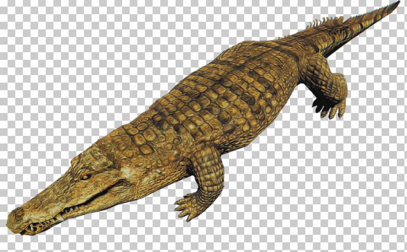 Reptile Crocodile Crocodilia Saltwater Crocodile American Crocodile PNG, Clipart, Alligator, American Alligator, American Crocodile, Animal Figure, Crocodile Free PNG Download