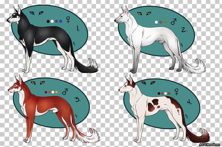 Italian Greyhound Whippet Dog Breed PNG, Clipart, 08626, Breed, Carnivoran, Dog, Dog Breed Free PNG Download