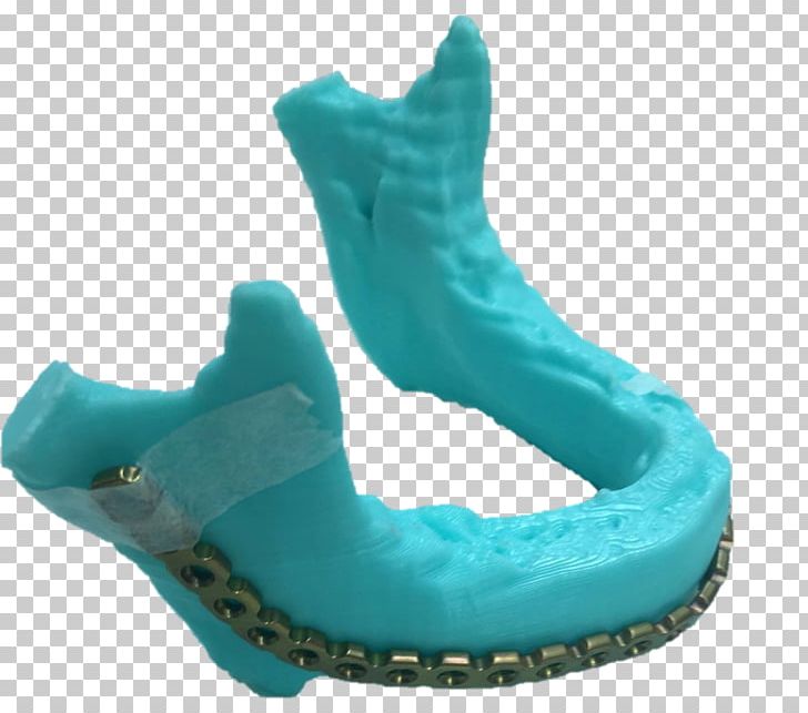 Marine Mammal Turquoise Shoe PNG, Clipart, Aqua, Footwear, Mammal, Marine Mammal, Others Free PNG Download