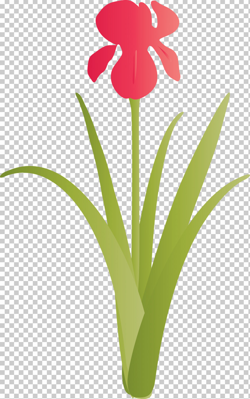 Iris Flower Spring Flower PNG, Clipart, Cut Flowers, Flower, Flowerpot, Hippeastrum, Iris Free PNG Download