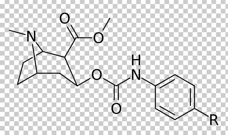 Chemistry Chemical Compound Structural Analog Alkaloid Dichloropane PNG, Clipart, Angle, Area, Black And White, Chemical Compound, Chemical Structure Free PNG Download