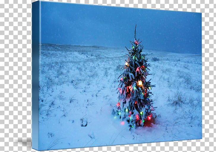 Christmas Tree Cape Cod Chatham Christmas Day Nantucket PNG, Clipart, Art, Beach, Beach Tree, Canvas, Cape Free PNG Download