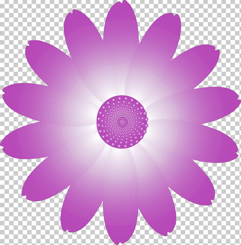 Marguerite Flower Spring Flower PNG, Clipart, Circle, Flower, Gerbera, Magenta, Marguerite Flower Free PNG Download
