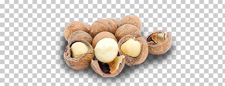Walnut Macadamia Nut Hazelnut Nuts PNG, Clipart, Confectionery, Cooking, Cuisine, Food, Fruit Nut Free PNG Download