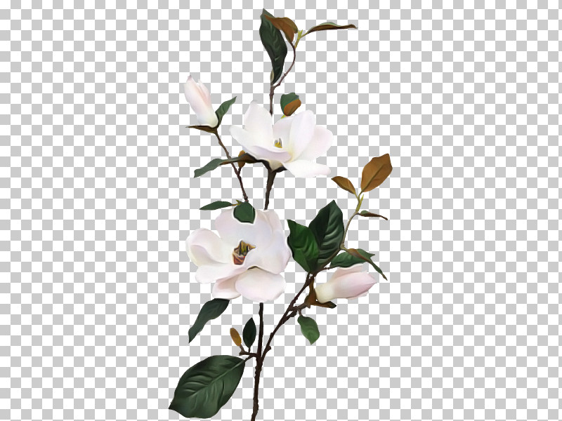 Artificial Flower PNG, Clipart, Artificial Flower, Bird, Blossom, Branch, Bud Free PNG Download