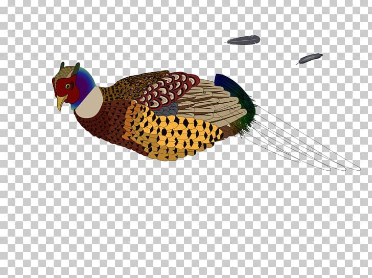 Bird Pheasant Computer Icons PNG, Clipart, Beak, Bird, Computer Icons, Drawing, Fauna Free PNG Download