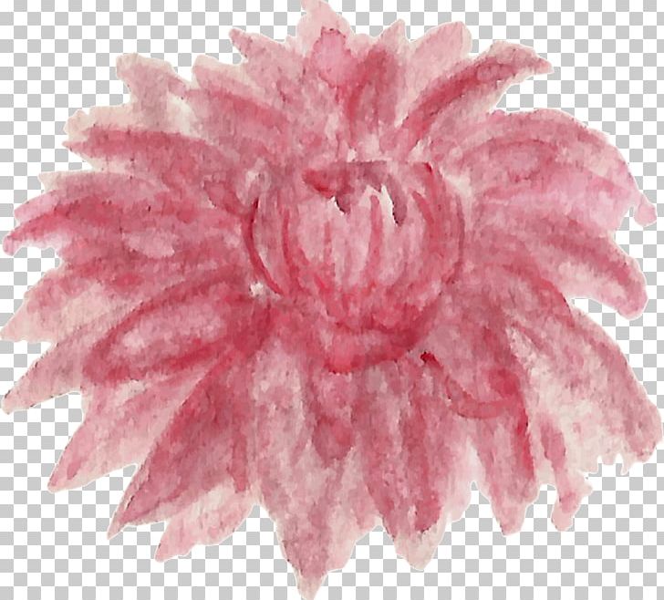 Dahlia Pink M Chrysanthemum PNG, Clipart, Chrysanthemum, Chrysanths, Dahlia, Flower, Flowering Plant Free PNG Download