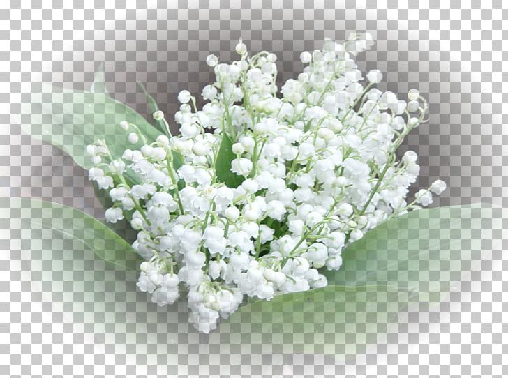 Lily Of The Valley 1 May Labour Day Perfume International Workers' Day PNG, Clipart,  Free PNG Download