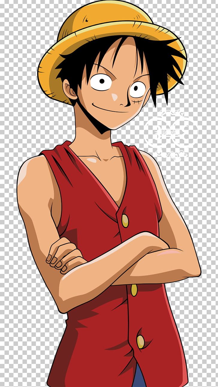 Monkey D. Luffy Roronoa Zoro Nami Usopp Vinsmoke Sanji PNG, Clipart, Arm, Art, Boa Hancock, Boy, Brown Hair Free PNG Download