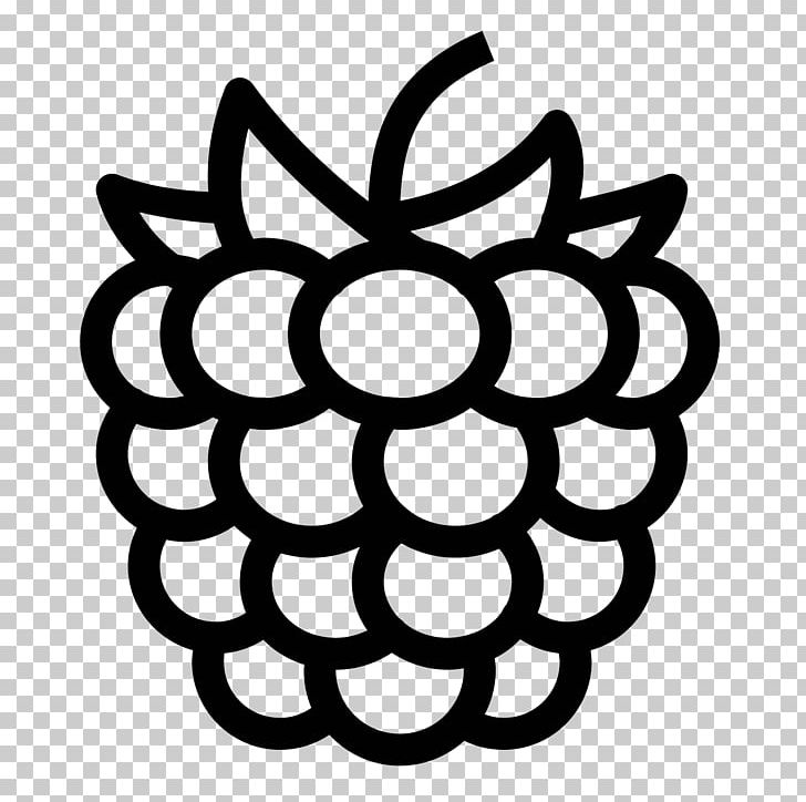 Red Raspberry Computer Icons Food PNG, Clipart, Berry, Black And White, Blackberry, Circle, Computer Icons Free PNG Download