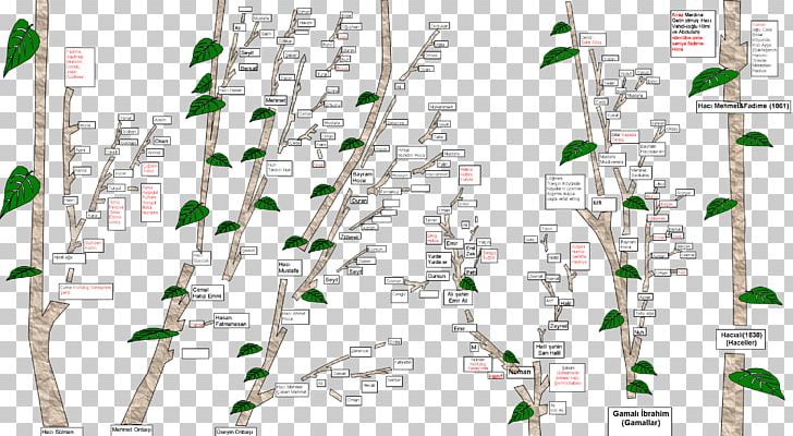 Map Line Tuberculosis Branching PNG, Clipart, Area, Branch, Branching, Grass, Line Free PNG Download