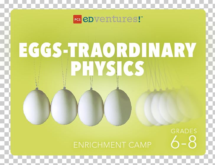 Physics Chicken Or The Egg Motion PNG, Clipart, Brain, Brand, Chicken, Chicken Or The Egg, Egg Free PNG Download