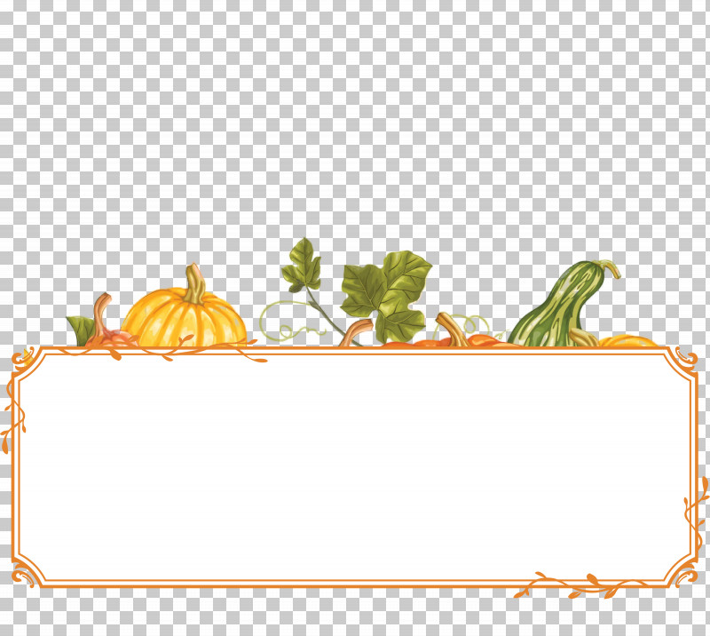 Blank Thanksgiving Harvest Banner Thanksgiving Banner PNG, Clipart, Flower, Fruit, Geometry, Line, Mathematics Free PNG Download